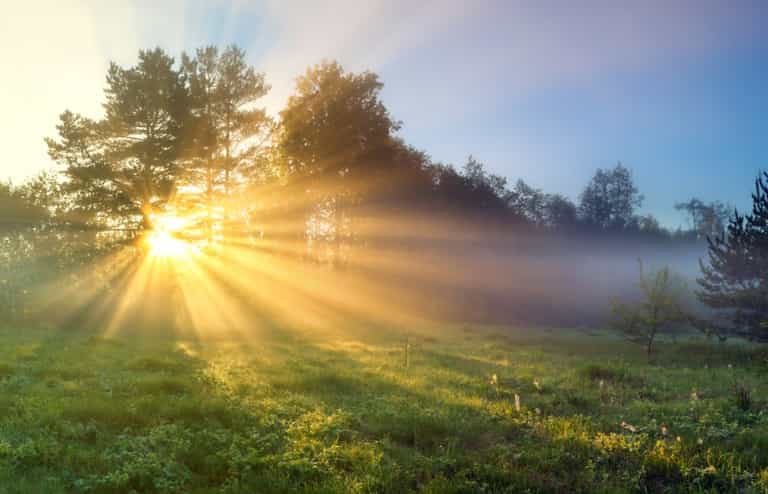 Paddy’s Day weather to remain ‘dry and sunny’ with temperatures as high as 17 degrees celsius