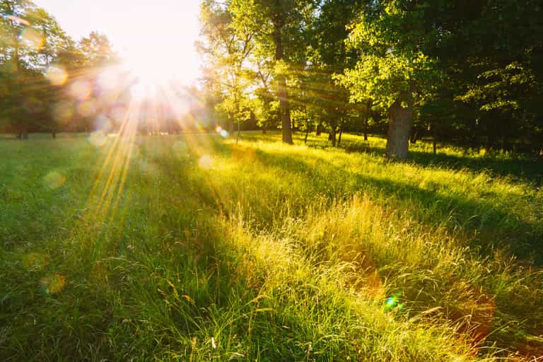 Saturday to bring ‘good sunny spells’ according to Met Éireann
