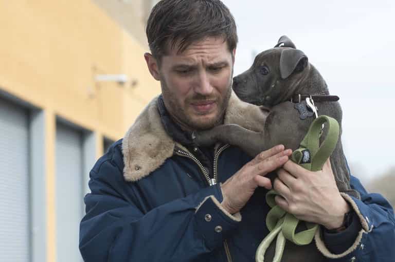 Six of the best movies on TV for your Wednesday night in