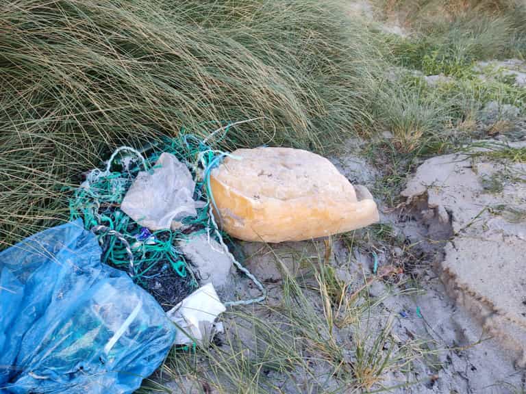 Second fatberg washed up in Galway, posing threat to pets and wildlife