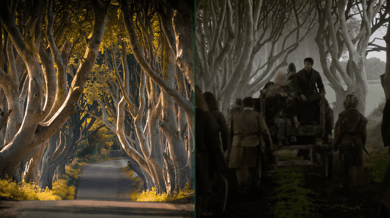 Game of Thrones film location in Antrim faces tree felling