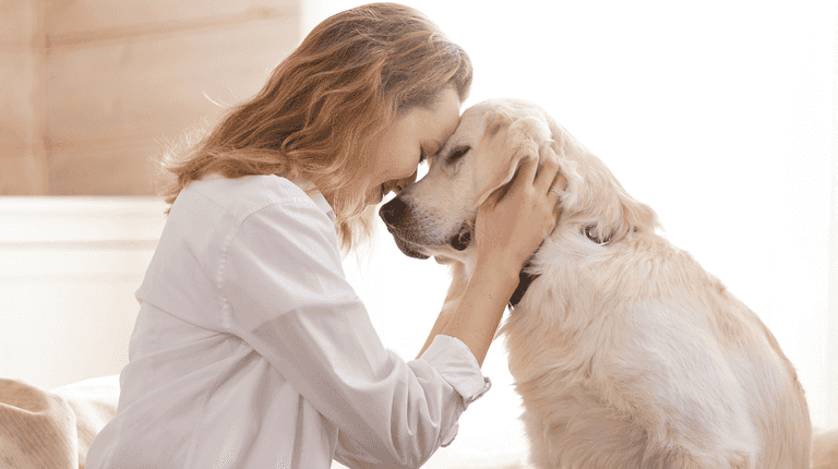 Renters to gain right to keep pets under new housing plan