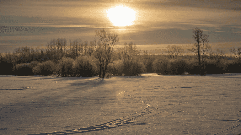Met Éireann issues yellow weather warning as temperatures set to hit zero
