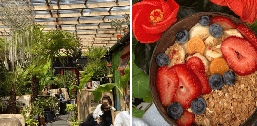 Welcome to the jungle! Get yourself to this tropical brunch spot in Galway