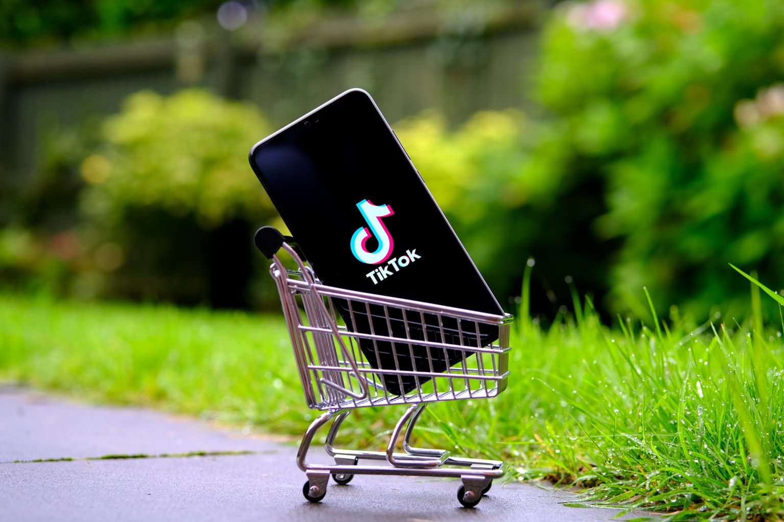 The week in TikToks – our top picks