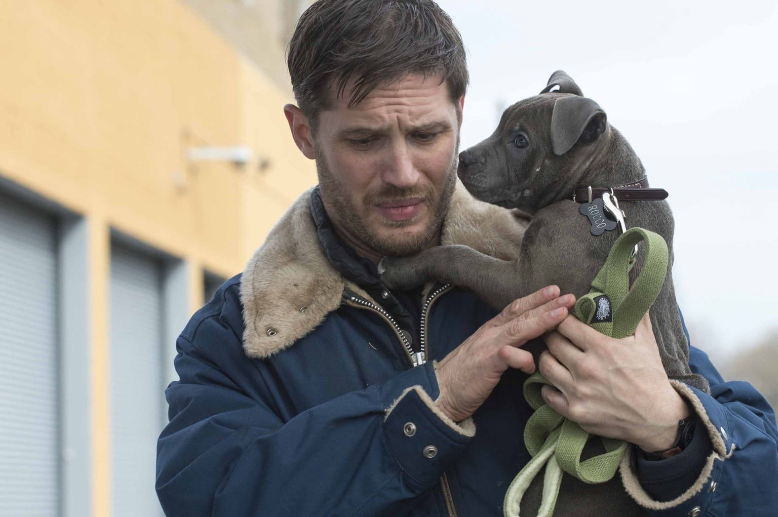 Six of the best movies on TV for your Wednesday night in