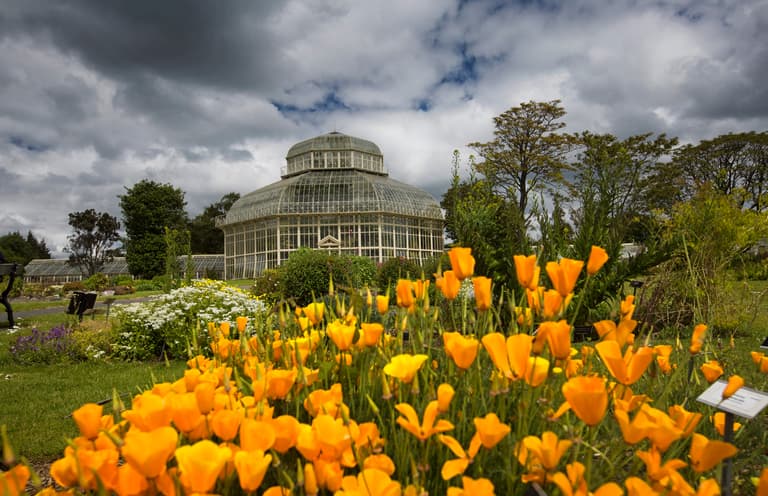 Dublin – Get more than you budgeted for!