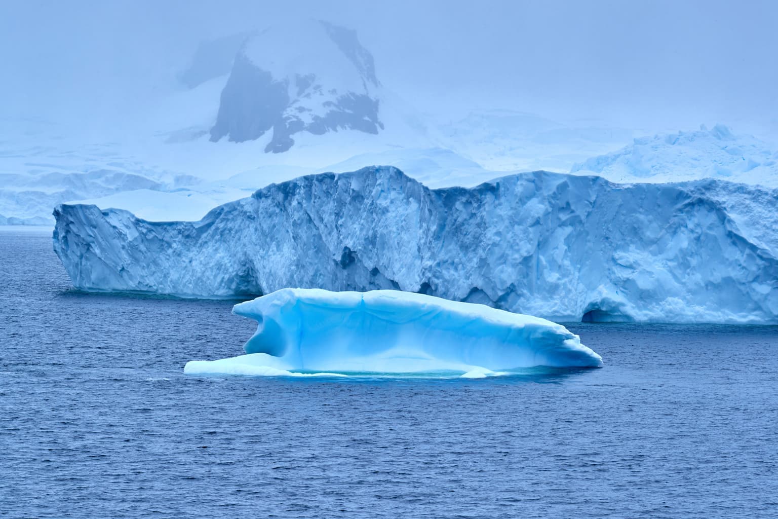 A Tipperary sized iceberg has begun to drift for the first time in over 30 years