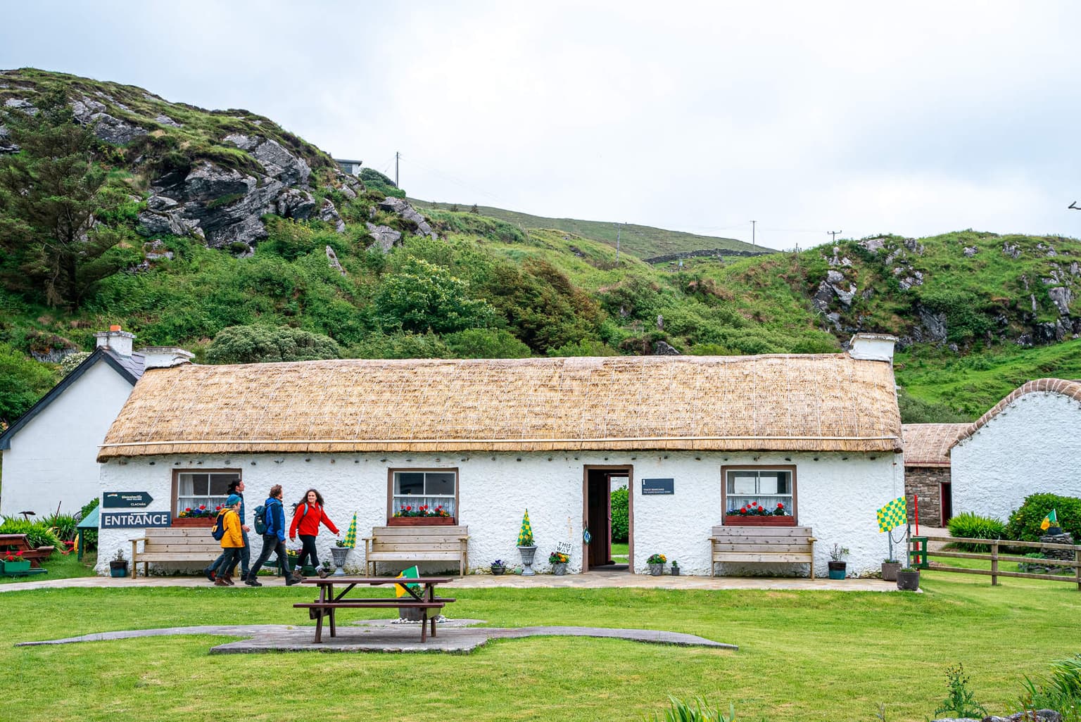 Seaweed baths, sheep dogs and shellfish tours – 9 enriching experiences along the Wild Atlantic Way