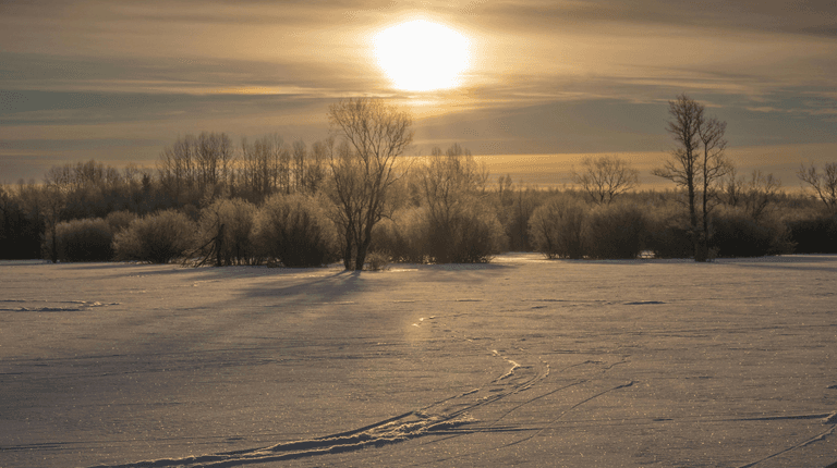 Met Éireann issues yellow weather warning as temperatures set to hit zero