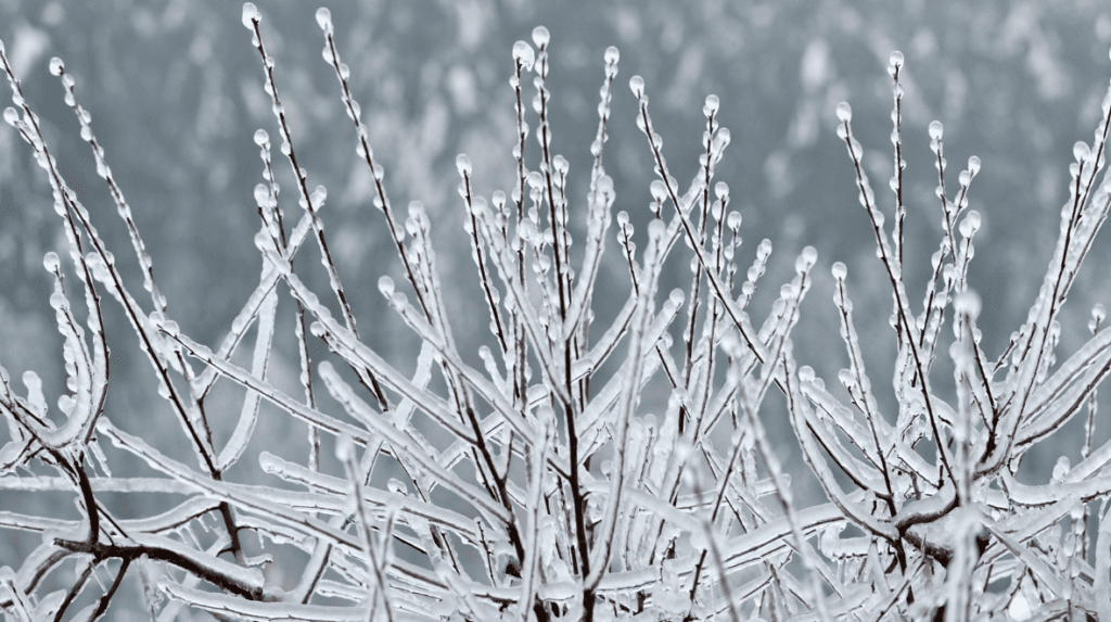 Met Éireann warns of possible snow as heating bills continue to rise
