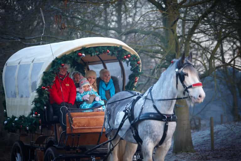 Center Parcs Set To Launch A Winter Wonderland This November Center Parcs Set To Launch A Winter Wonderland This November