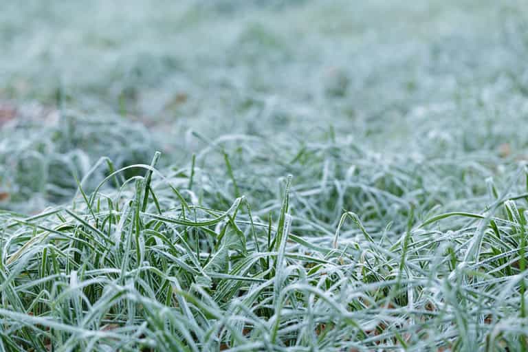 Temperatures set to plummet below zero over the bank holiday weekend with frost and ice expected Temperatures set to plummet below zero over the bank holiday weekend with frost and ice expected