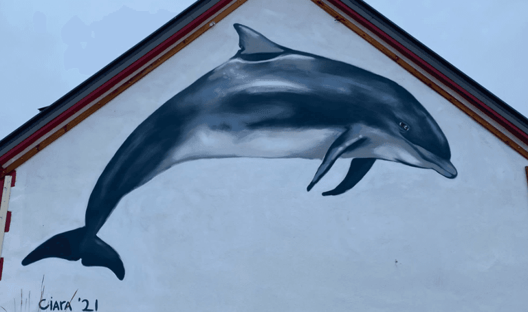 A Fungie mural was unveiled at the dolphin’s memorial service A Fungie mural was unveiled at the dolphin’s memorial service